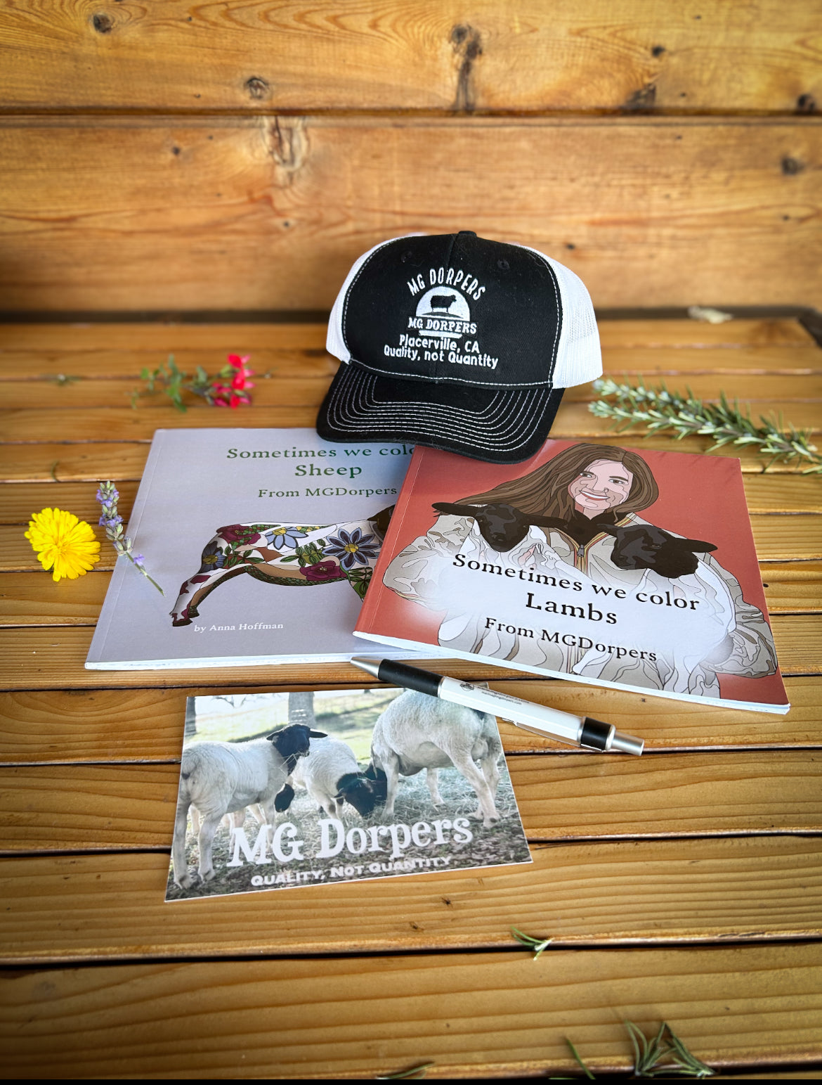 MG Dorper Welcome Package