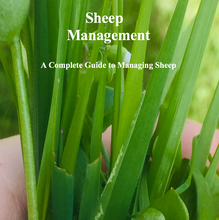 Load image into Gallery viewer, Sheep Management 2021 edition PDF
